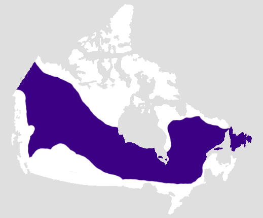 Subarctic Canada